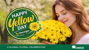 Danziger Happy Yellow Day image